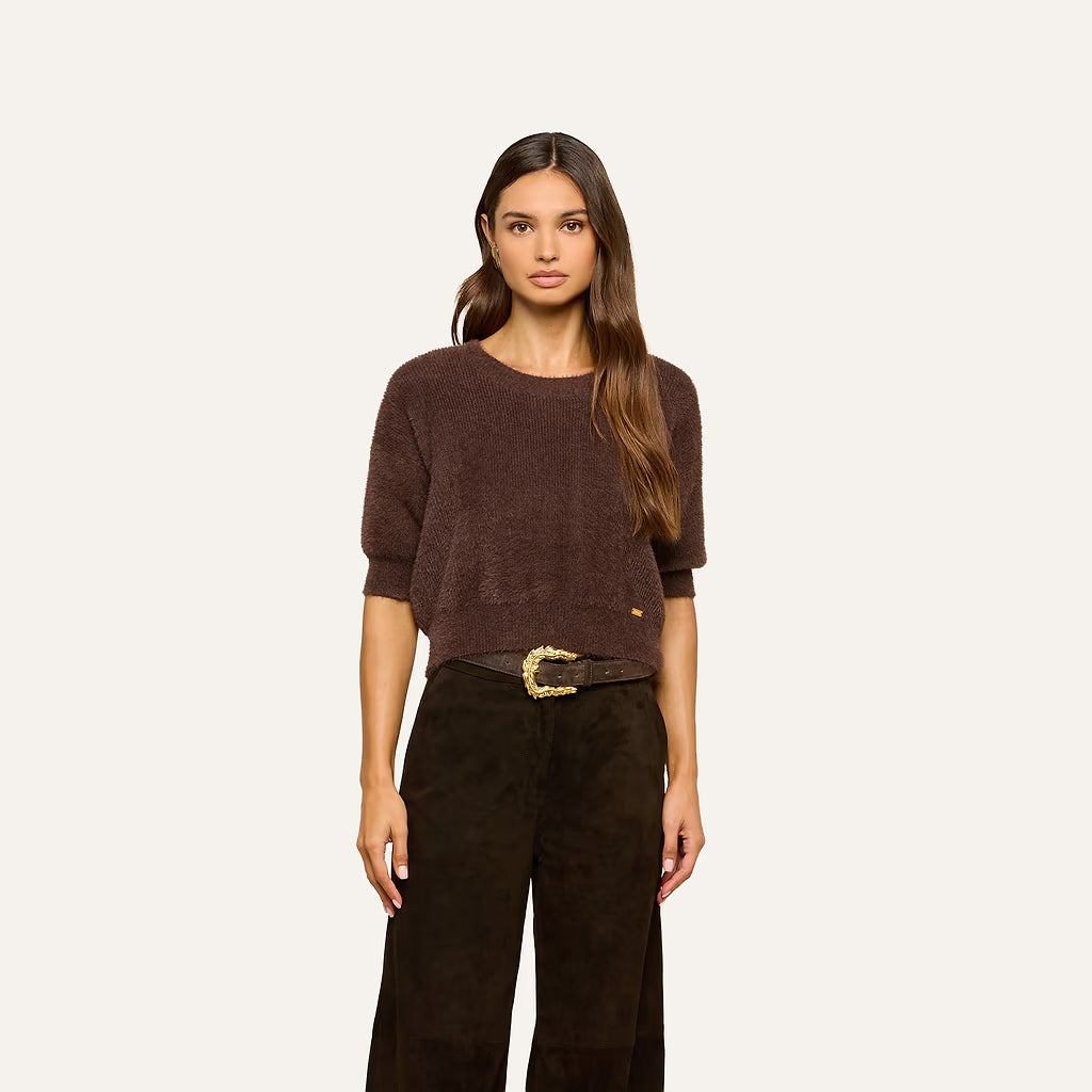 A woman modeling a short-sleeve crewneck knit sweater in dark brown, paired with dark brown wide-leg trousers and a textured belt, against a solid off-white background.