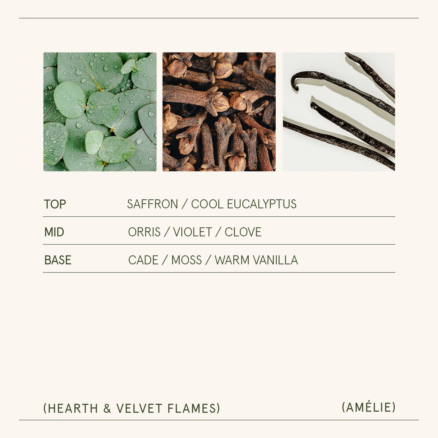 Product label with top, mid, and base notes for a fragrance, featuring images of green leaves, dried herbs, and vanilla beans.