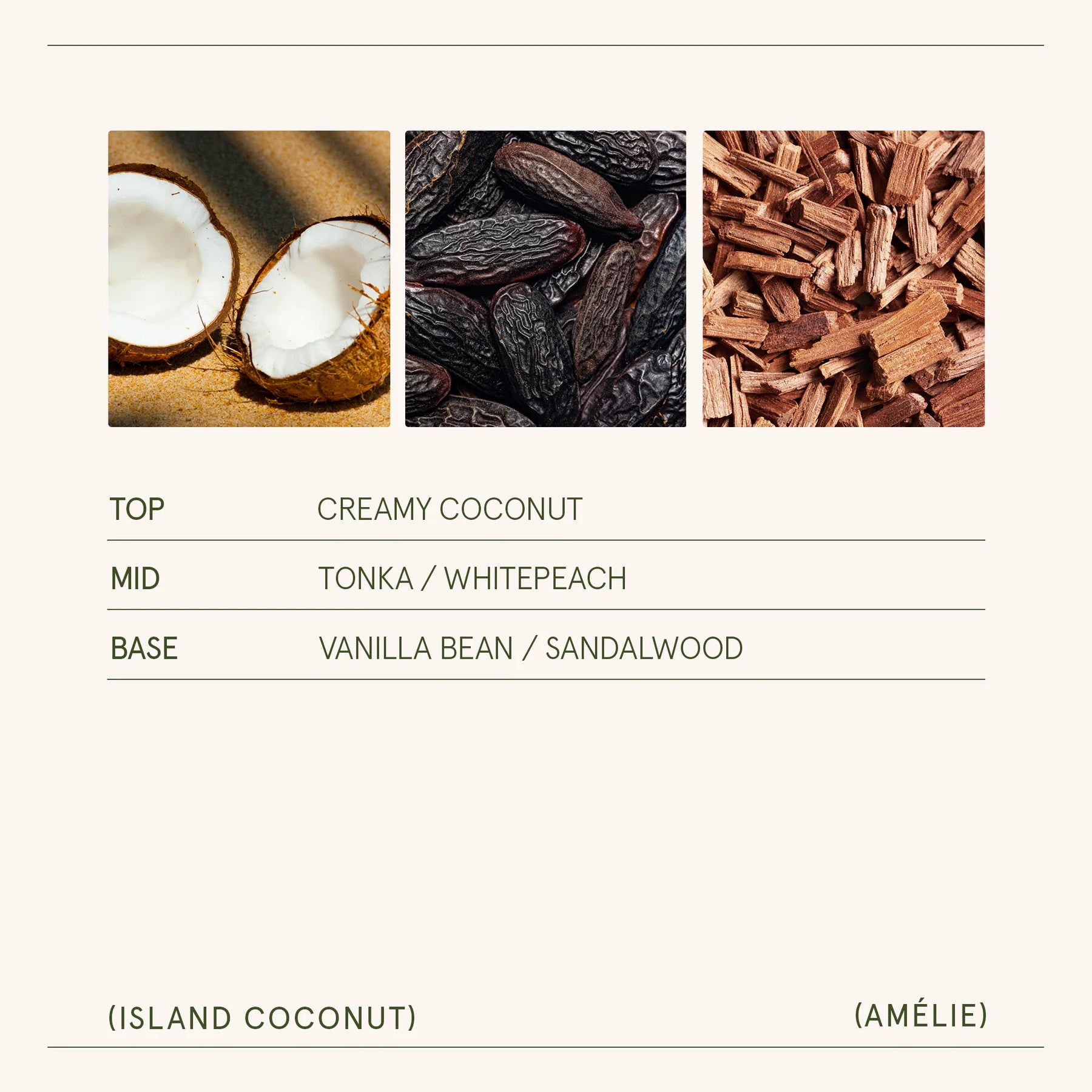 Three product samples with labels for top, mid, and base notes on a white background.
