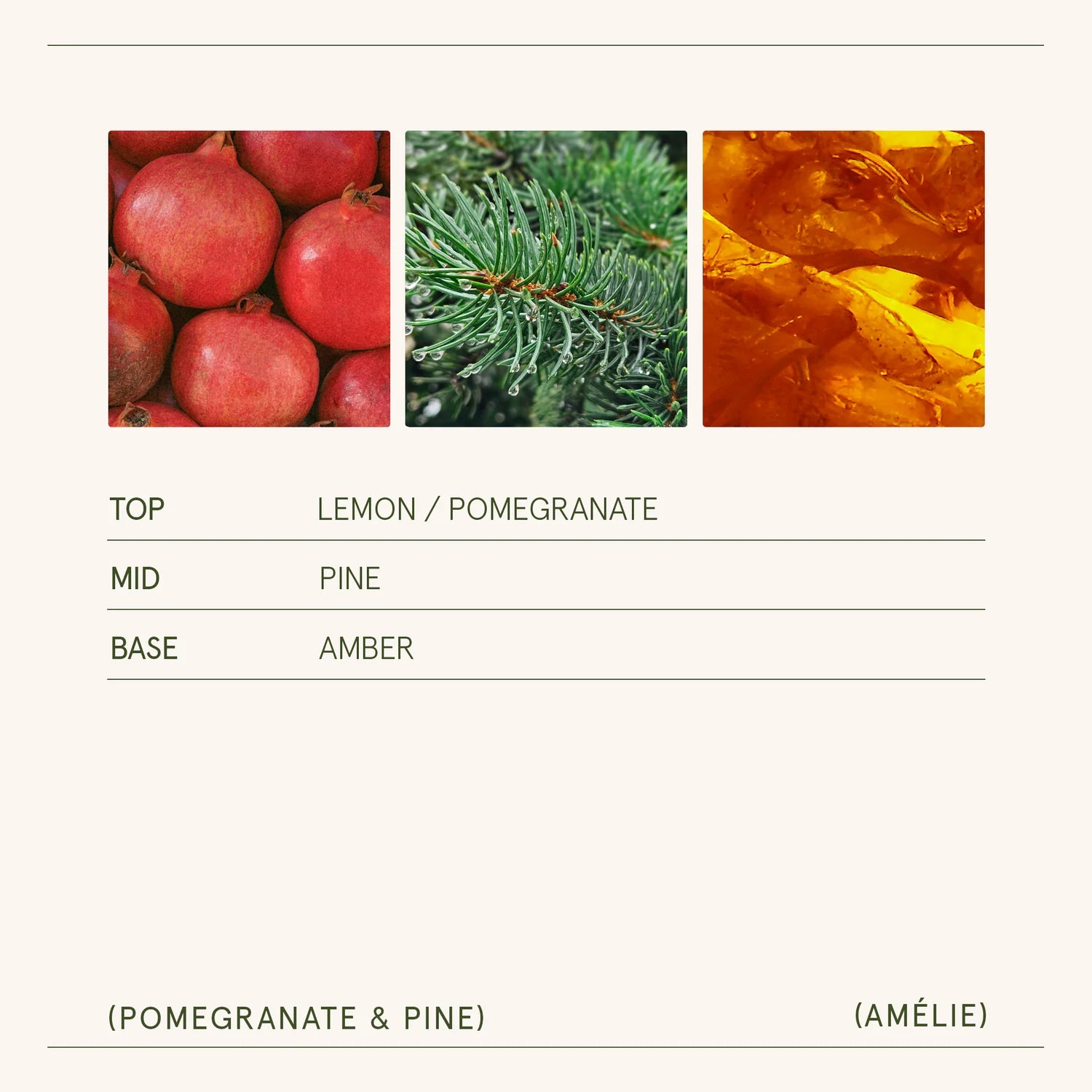 Color swatches labeled &#39;Lemon/Pomegranate&#39;, &#39;Pine&#39;, and &#39;Amber&#39; with corresponding product name &#39;Amélie&#39;.