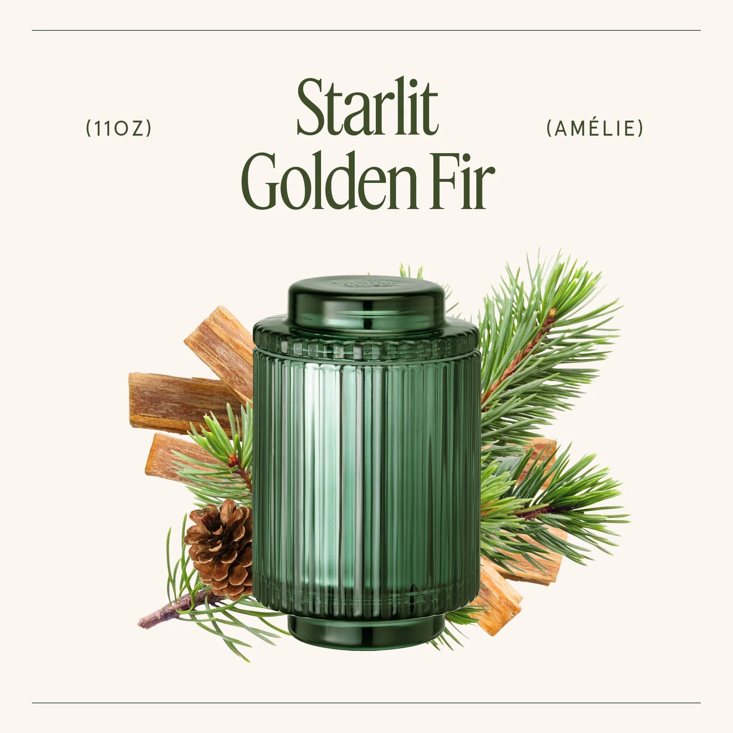 Green candle jar with pine branches and pinecones on a white background, labeled 'Starlit Golden Fir'.