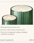 Two green candles with a white background, featuring text about candle properties.