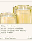 Two gold-rimmed candles with a white candle inside on a white background, featuring product details.