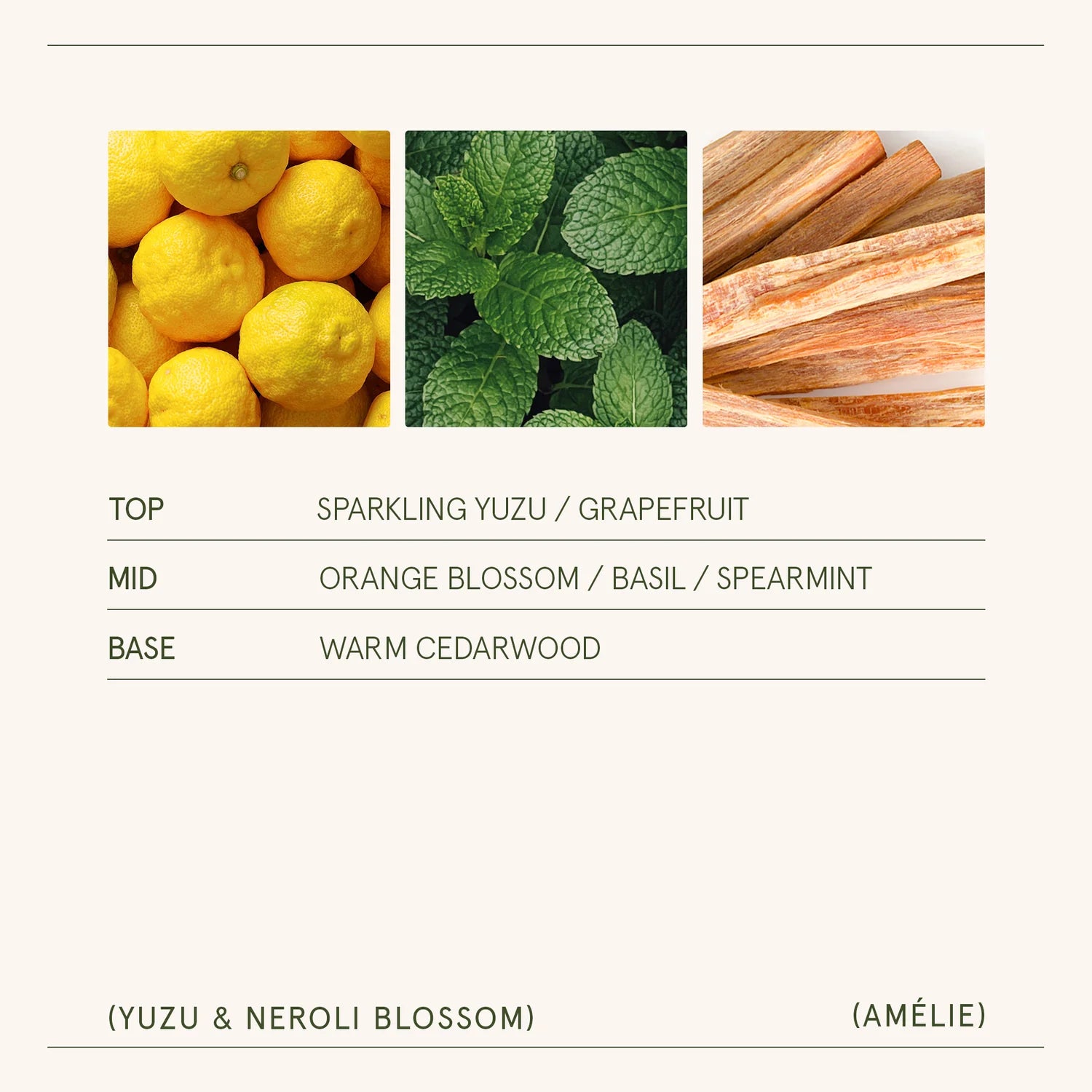Product label with images of lemons, mint leaves, and wooden sticks, along with fragrance notes.