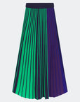 Celia Skirt front view on white background