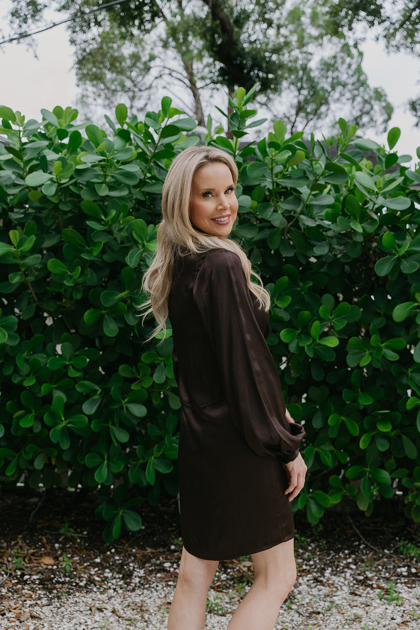 Nation Cora Shirred Long Sleeve Mini Dress back