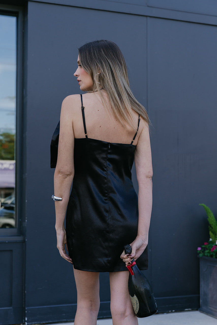 Elliatt Ember Bow Mini Dress back