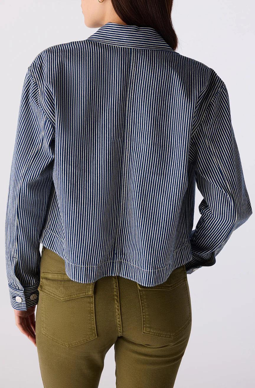 Person wearing a blue and white striped shirt with green pants on a white background