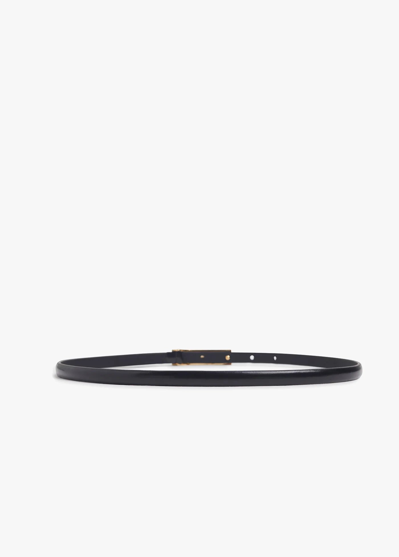 The Lady Belt back by itself