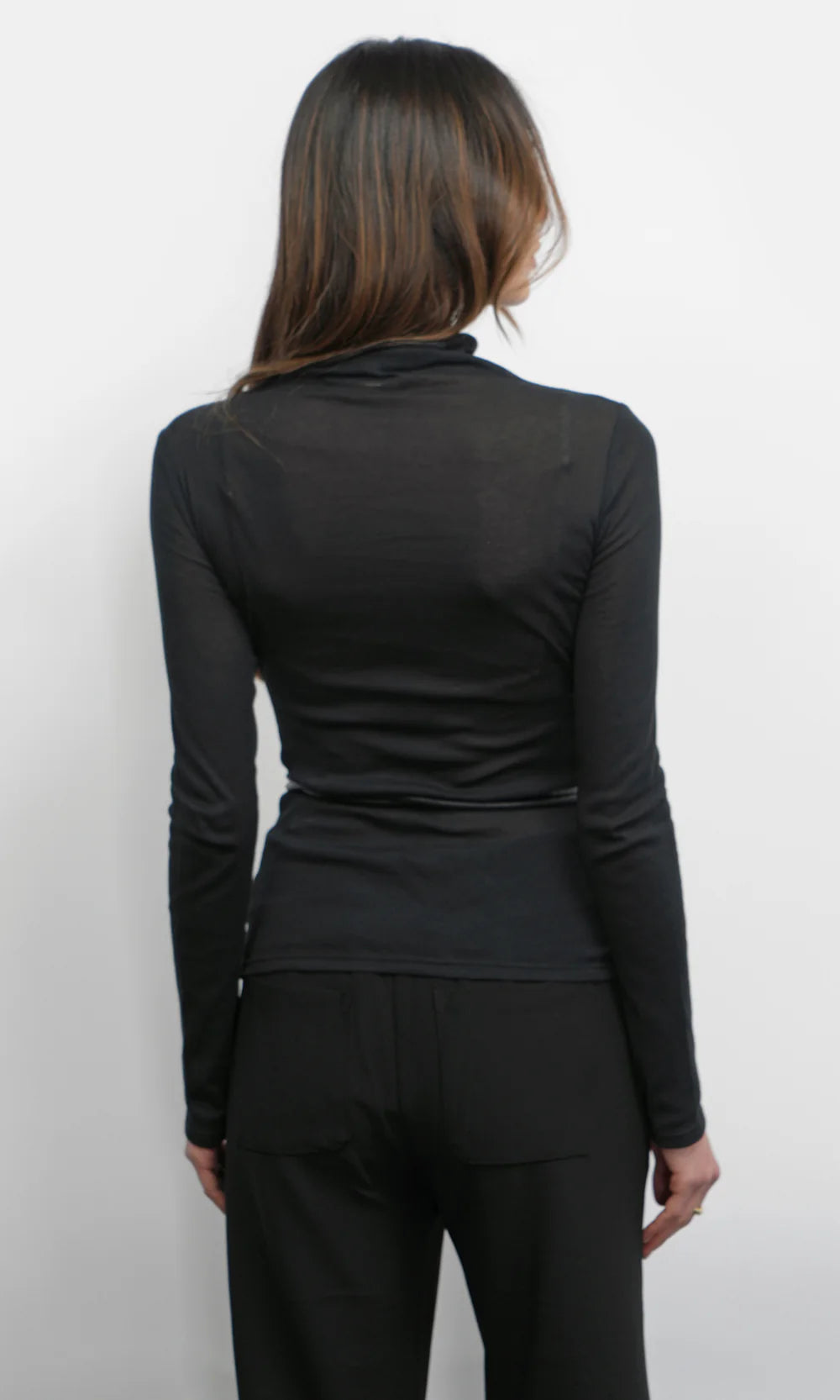 Astra High Neck Long Sleeve Sheer Knit Top back view