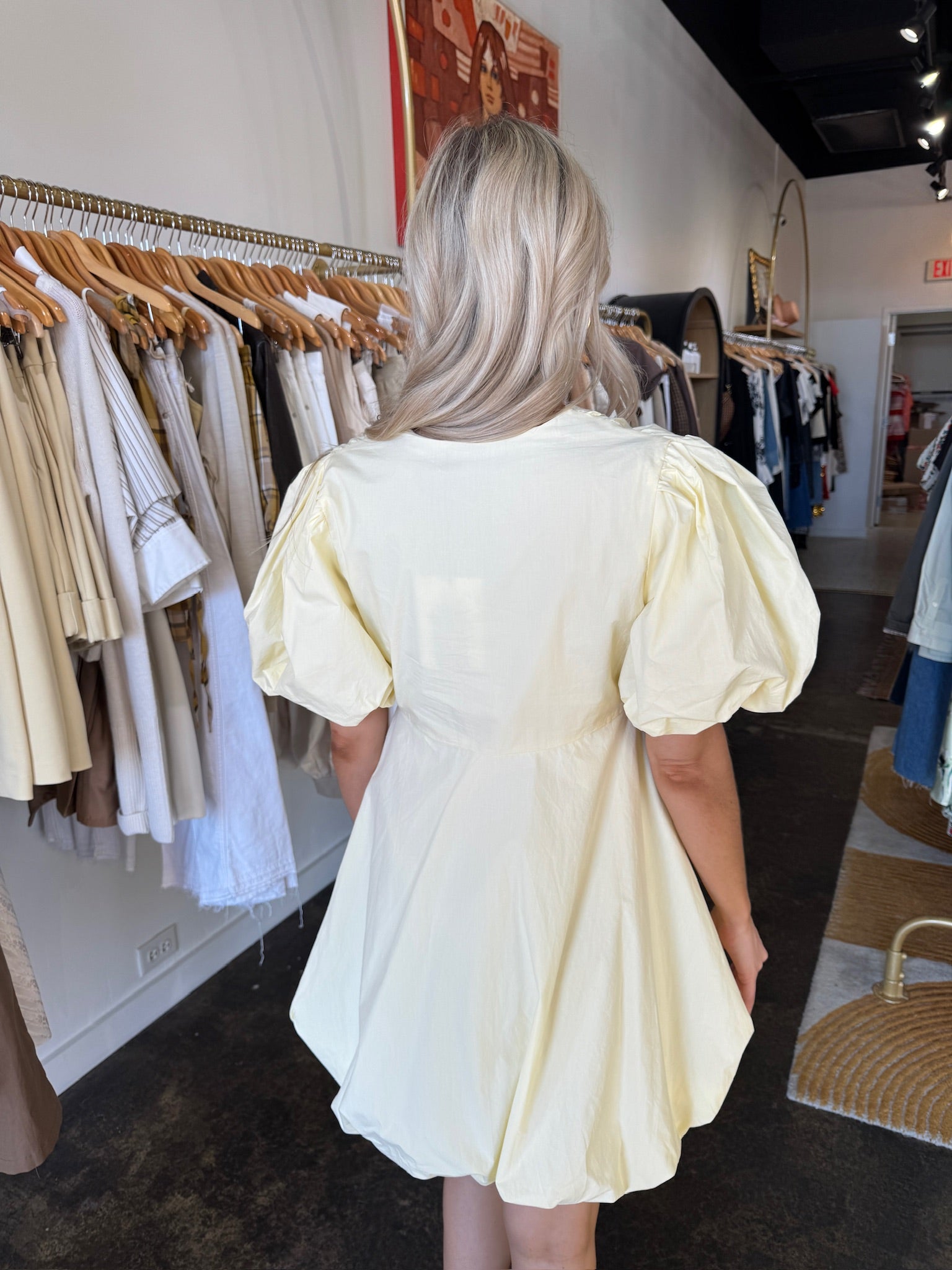 Palma Short Sleeve Mini Dress back