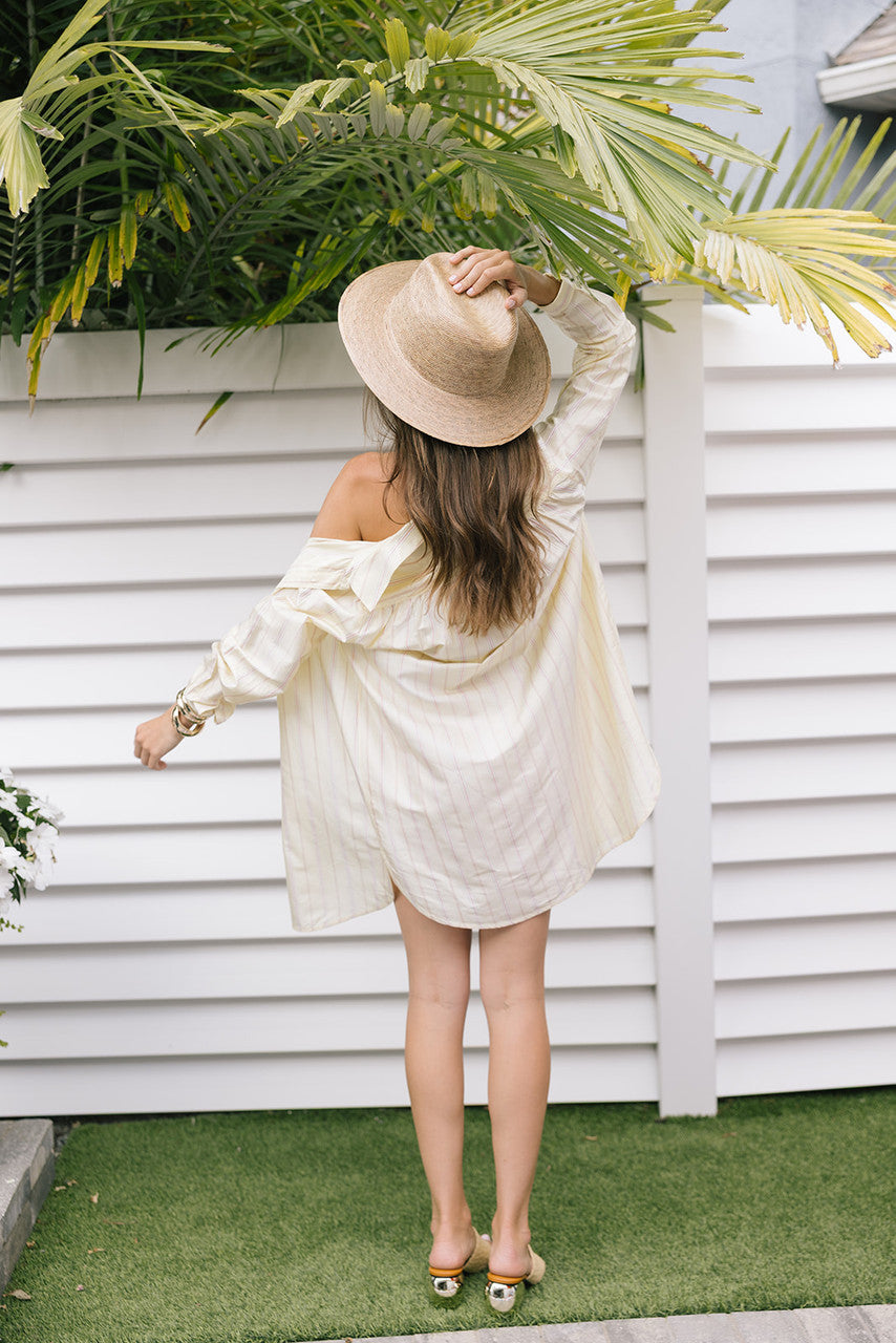 Ilio Nema Arion Killini Stripe Shirt Dress back view
