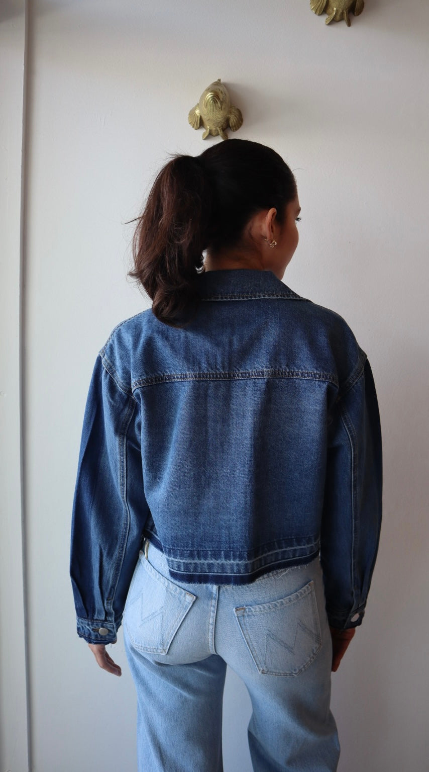 Denzel Denim Jacket close up back view