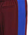 Close-up of a pair of track pants showing the side pocket, elastic waistband, and a bold vertical royal blue stripe on a burgundy fabric background.