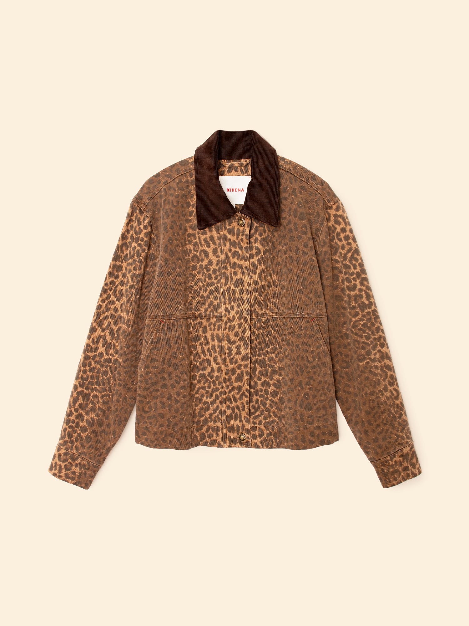 leopard jacket with corduroy collar on a cream background
