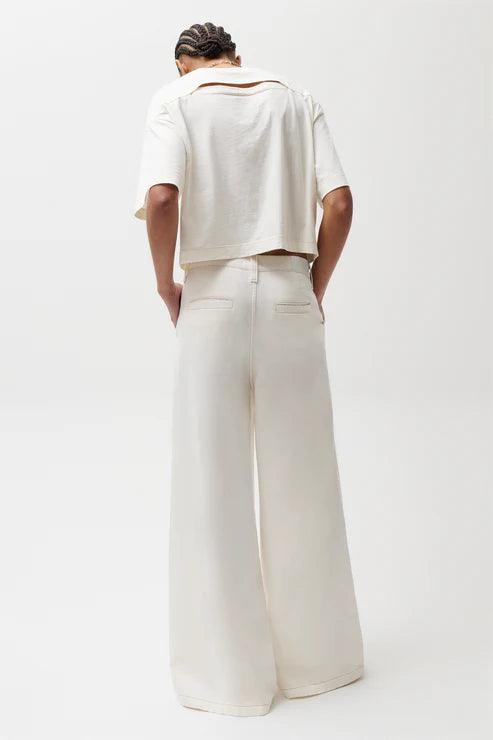 Delphine Pleated Wide full body back view