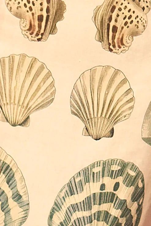 Close up of shell print