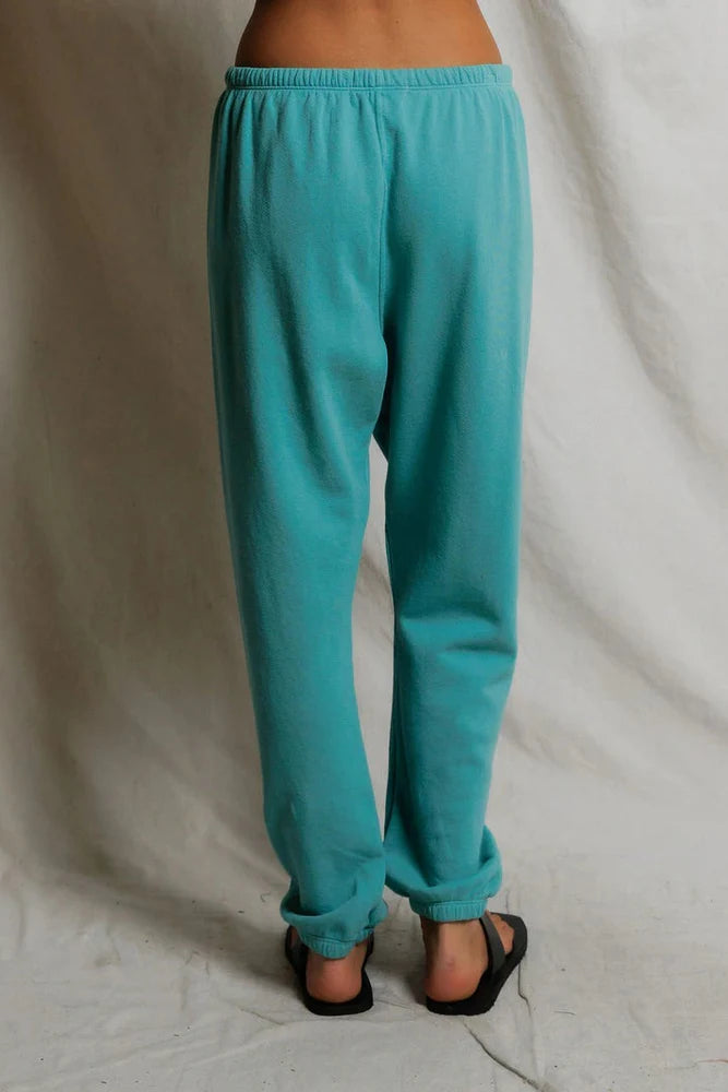 Johnny Sweatpant in Teal Blue close up back view on model
