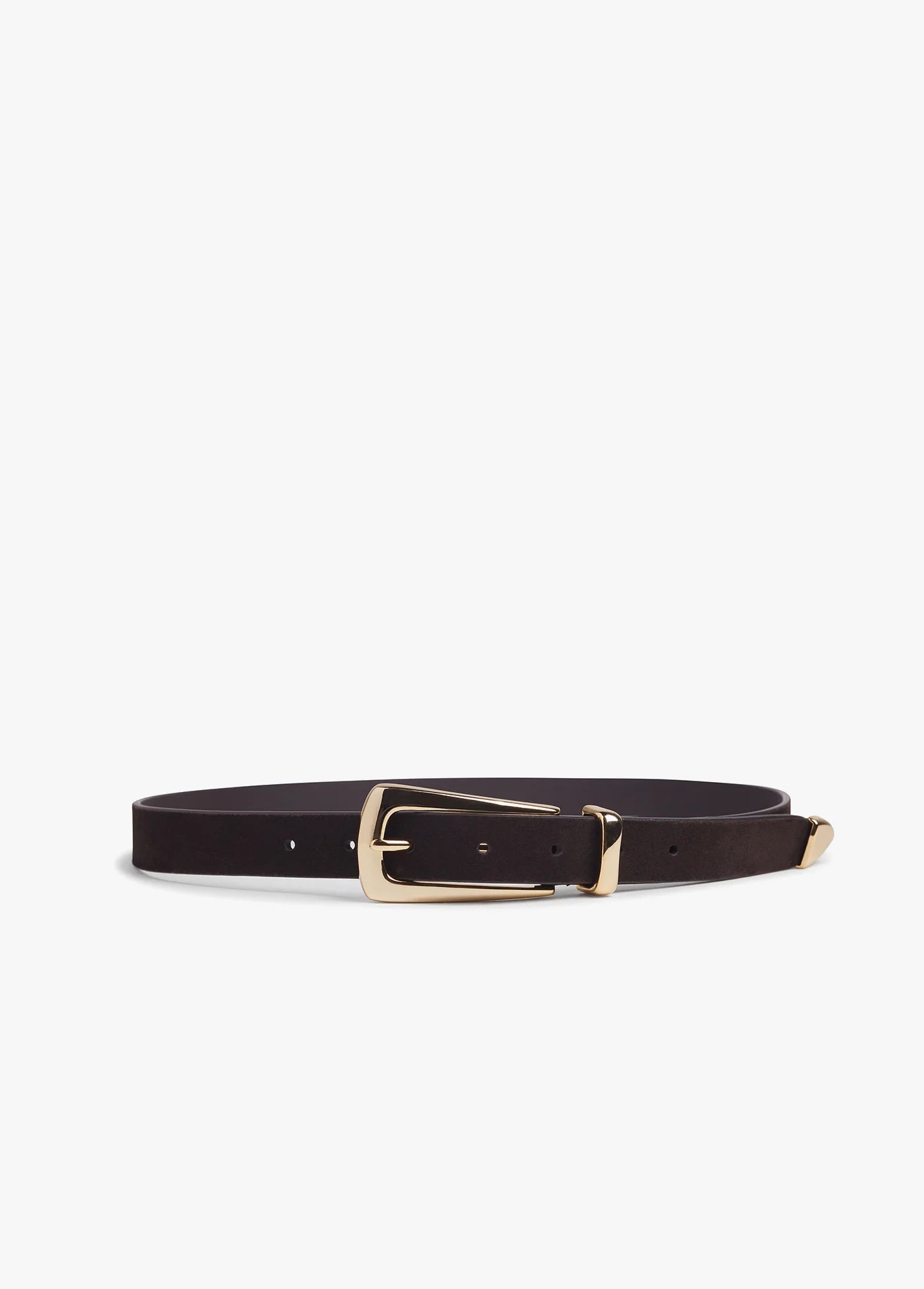 The Suede Statement Belt in Chocolate by itself