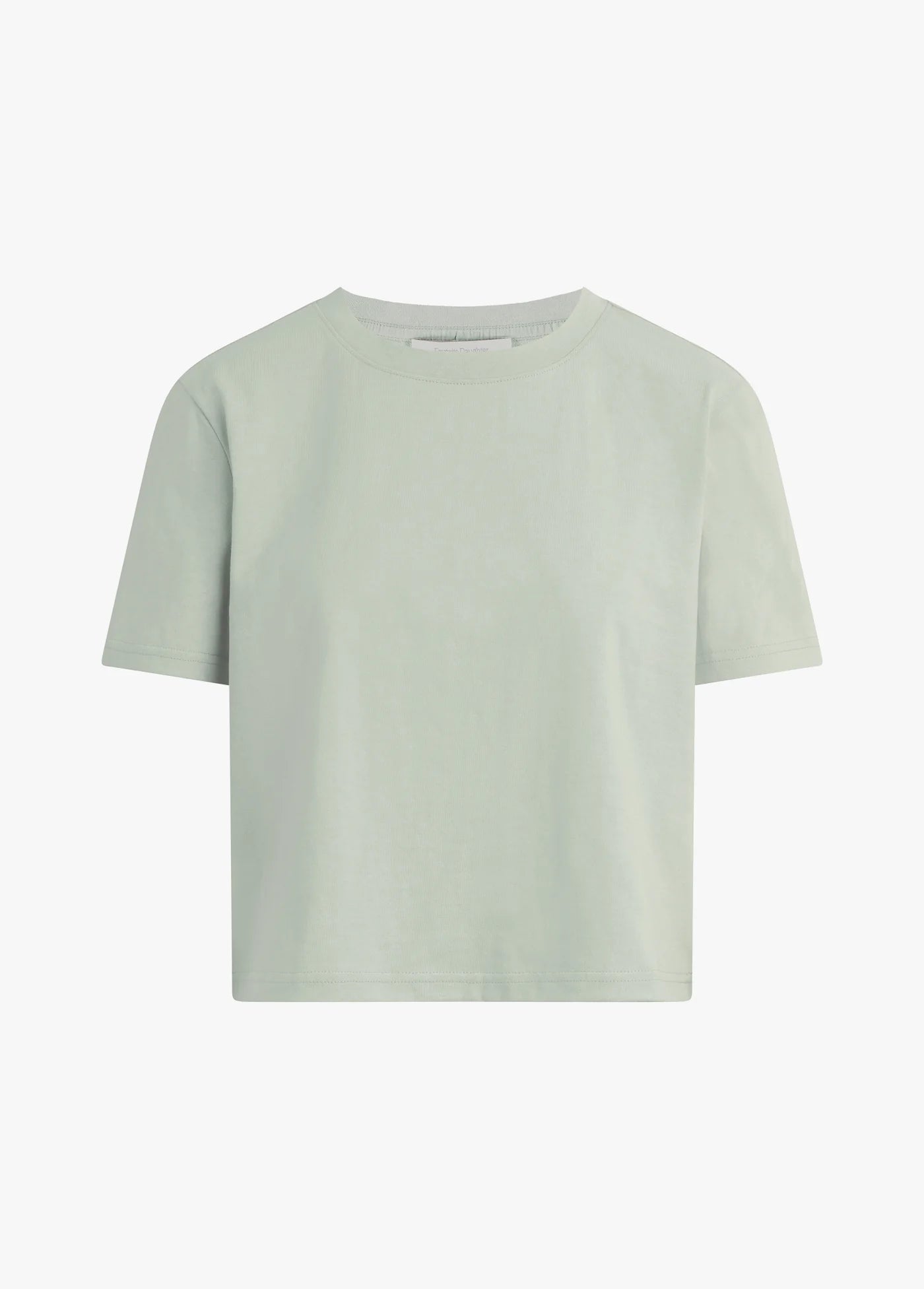 The Organic Favorite Tee by itself front