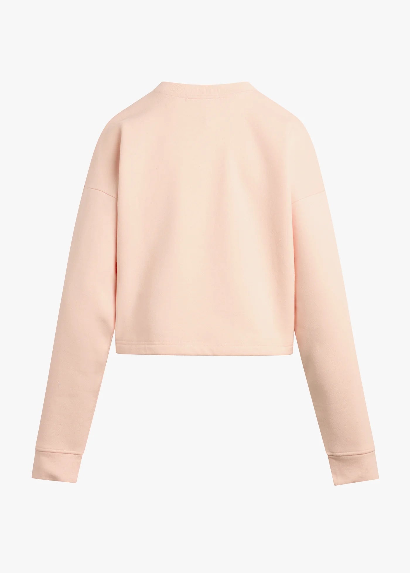 The Cropped Collegiate Sweatshirt back