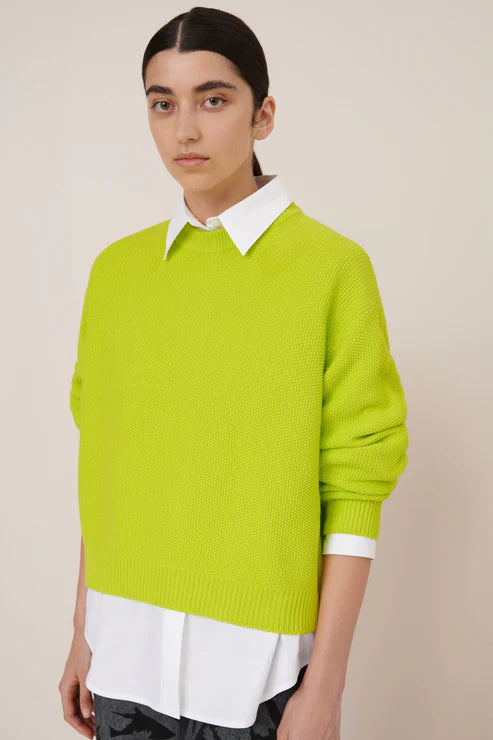 Person wearing a bright green sweater over a white shirt on a beige background